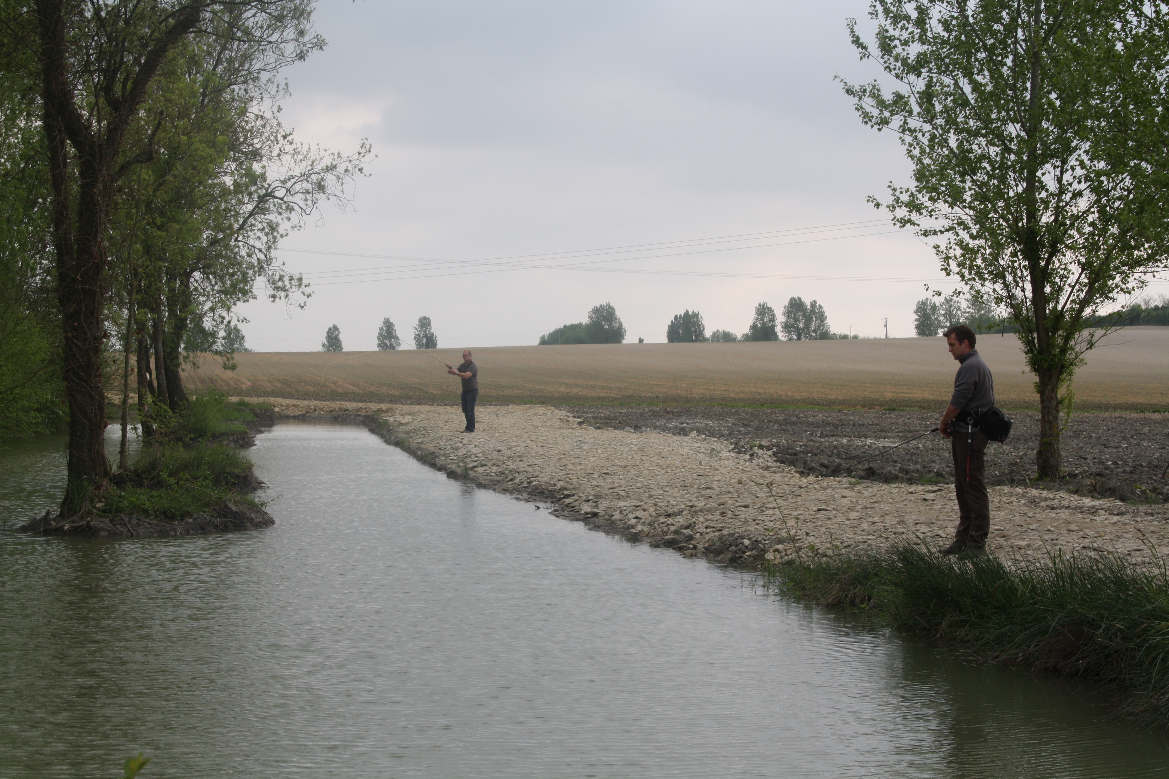 etang des colverts 17