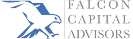 Management Consulting Financial Advisory Falcon Capital
