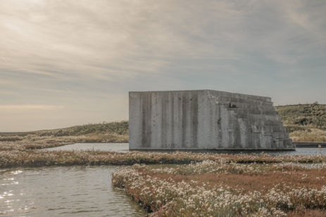 Architectuur. Prachtig, architecturaal betonnen gebouw dat dient als kantoor voor de bosbeheerders van Zierikzee. Architectuurfotografie van Ambachtinbeeld.nl in Zeeuws-Vlaanderen.