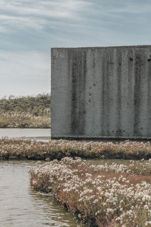 Architectuur. Prachtig, architecturaal betonnen gebouw dat dient als kantoor voor de bosbeheerders van Zierikzee. Architectuurfotografie van Ambachtinbeeld.nl in Zeeuws-Vlaanderen.