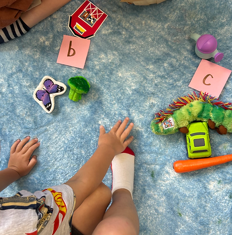 Screen Shot 2025-08-09 at 8.24.21 AM.png