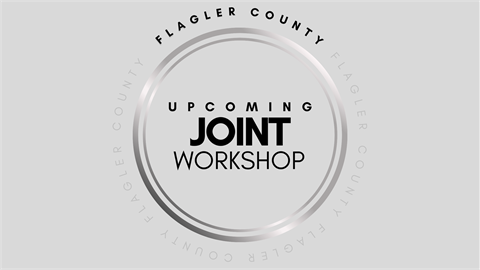 Joint County and City of Palm Coast Workshop