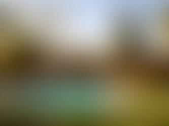 liff May mid-century modern ranch home with large glass walls, wooden beam ceilings, pool, palm trees, and Norfolk Island pine tree in the yard, photographed in California style with soft natural lighting.