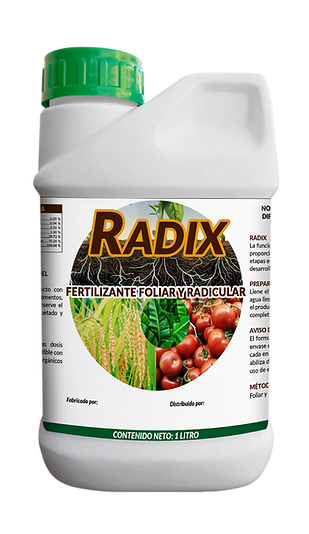 MM_Mesa de trabajo 1.png