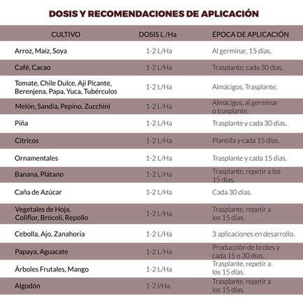 tabla radix_Mesa de trabajo 1.png