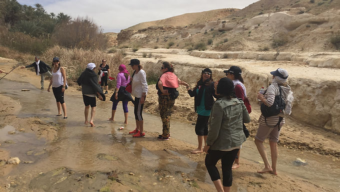 Retraite à l'Oasis de Tozeur
