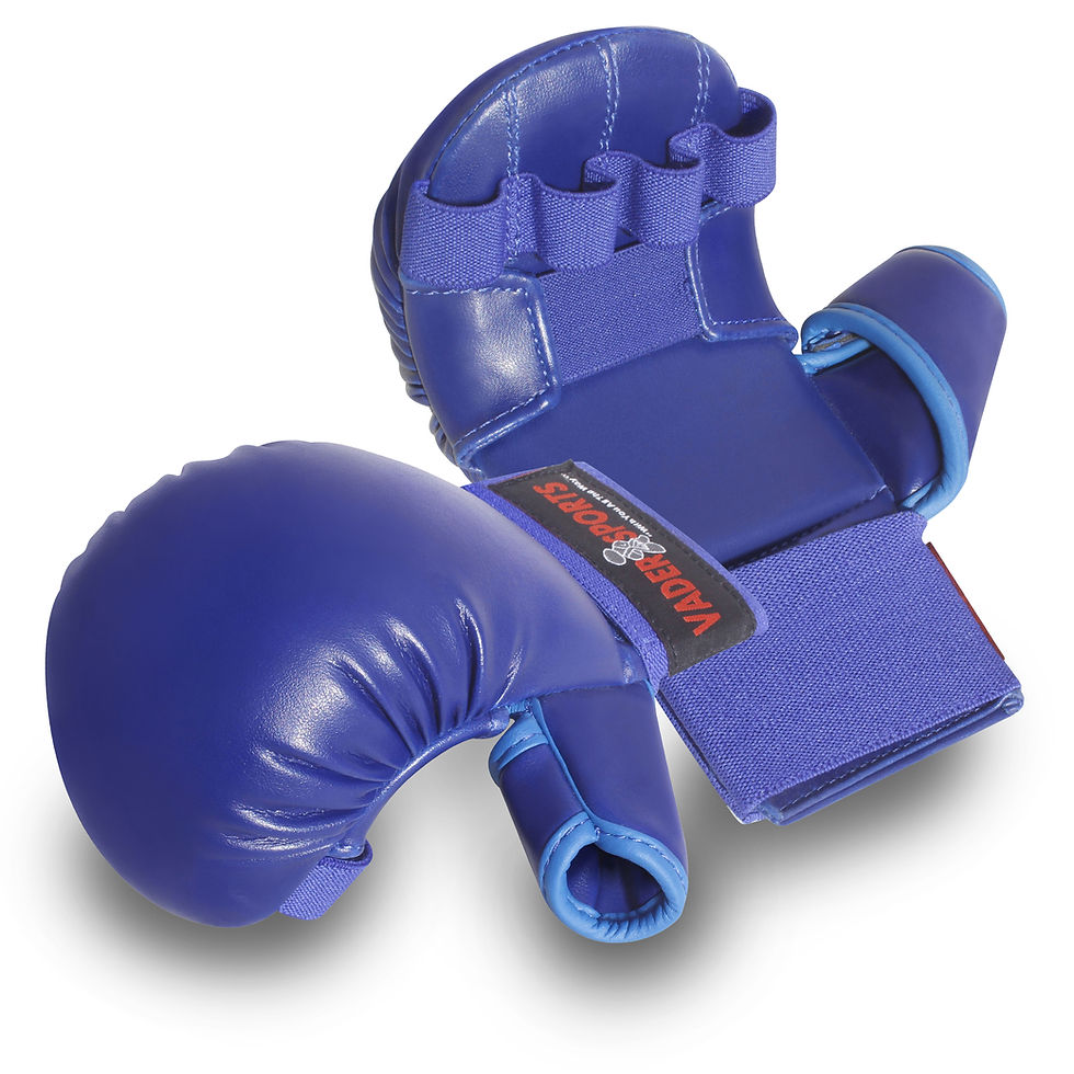 Thumbnail: Karate Gloves/ Mitts Full Contact Karate Hand Safety Mitts Blue