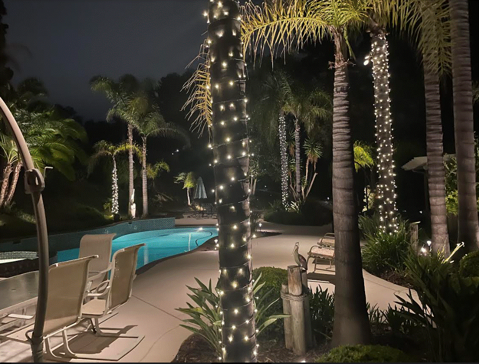 Screenshot 2023-07-31 175954.gif