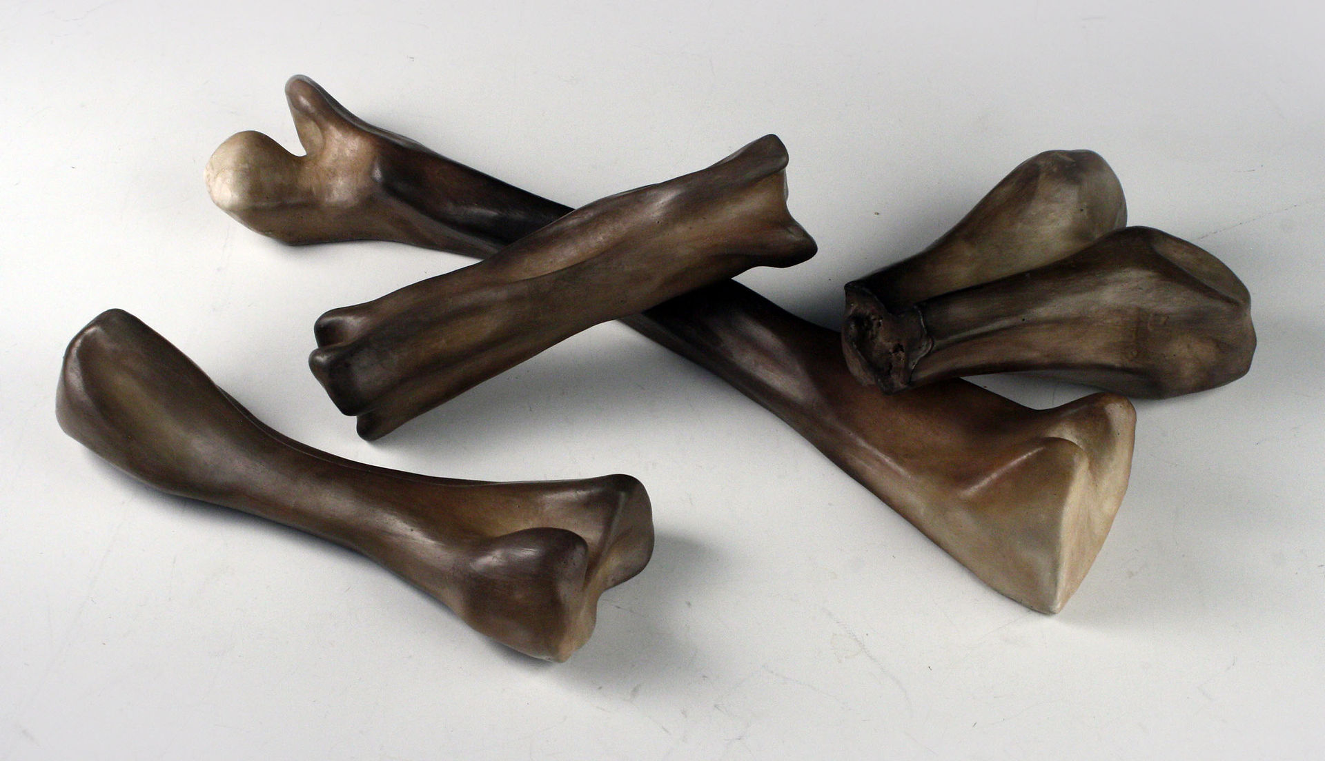 Plemons_Bones_1