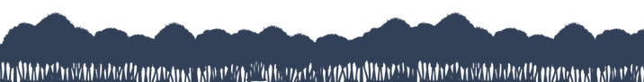 bloomboard-tress-skyline2.png