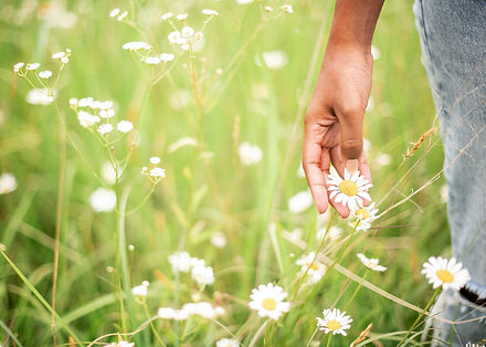 Woman in Field - 1280x915.jpeg