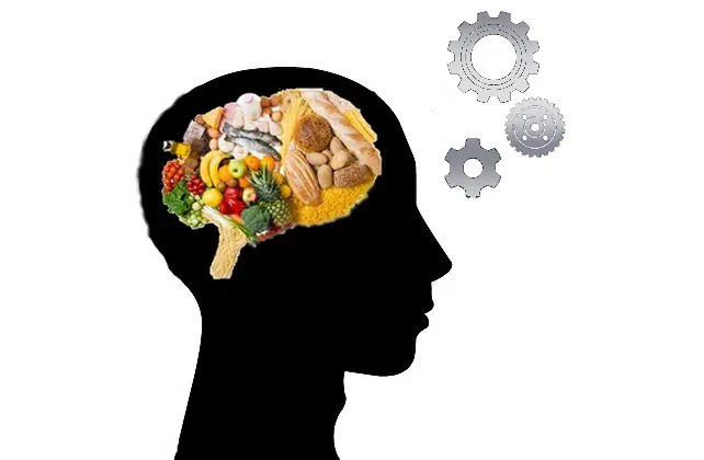 faim-satiete-appetit-cerveau-aliment-mecanismes-determinants.webp