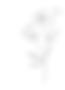 E (24)_edited_edited_edited_edited.png