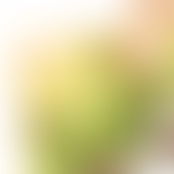 A RECUPERAÇÃO DE CRÉDITO PREVIDENCIÁRIO PODE EVITAR EMPRÉSTIMOS E MANTER SEU NEGÓCIO FUNCIONANDO