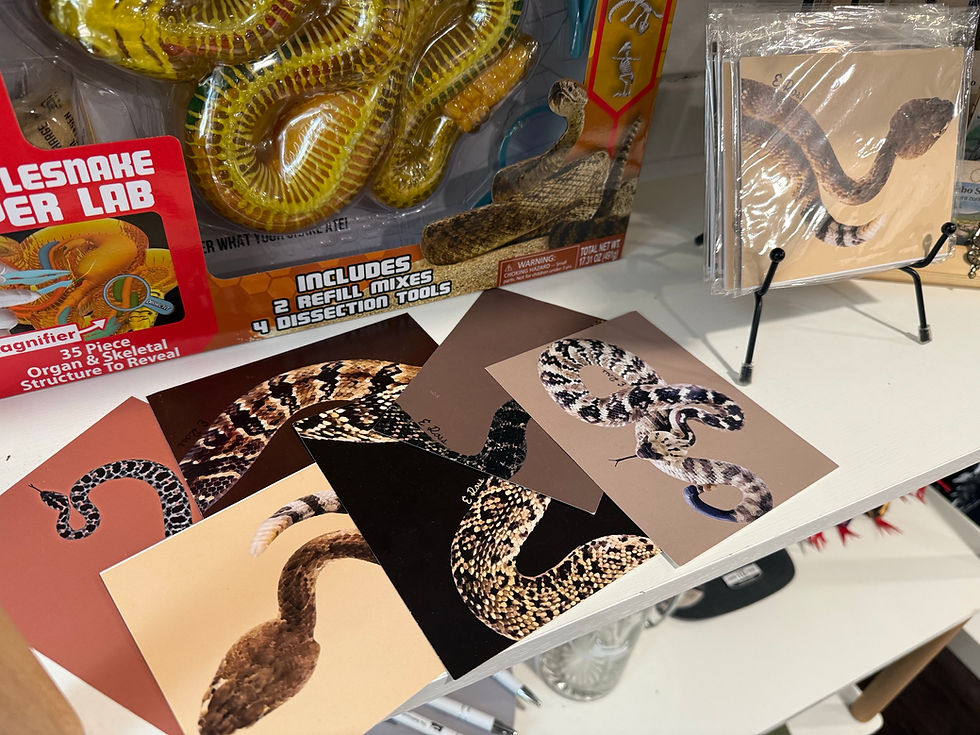 Thumbnail: Rattlesnake Post Card Set