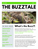 Q2 2024: The Buzztale!