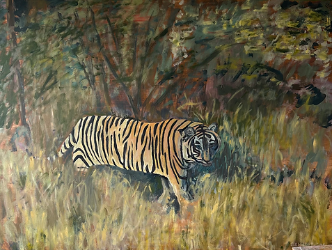 The Bengali Tiger