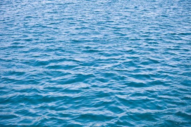MARE.jpeg