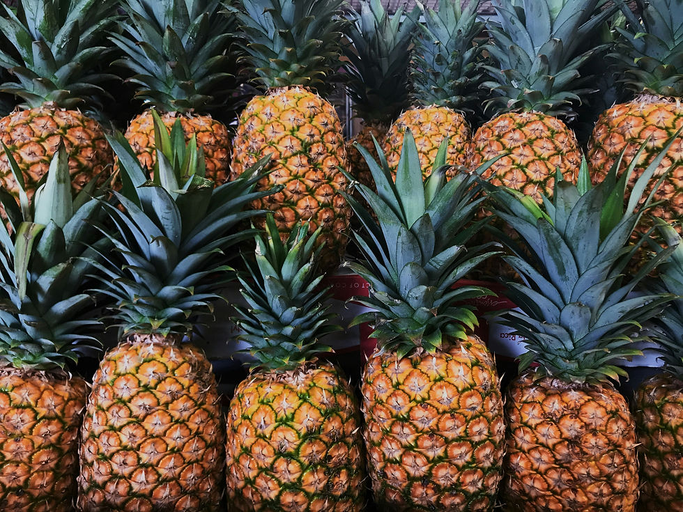 LOW RES grapes-strawberries-pineapple-kiwi-apricot-banana-whole-pineapple.jpg