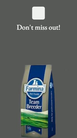 キャットフード Farmina Team Breeder 10kg N and D Farmina Team