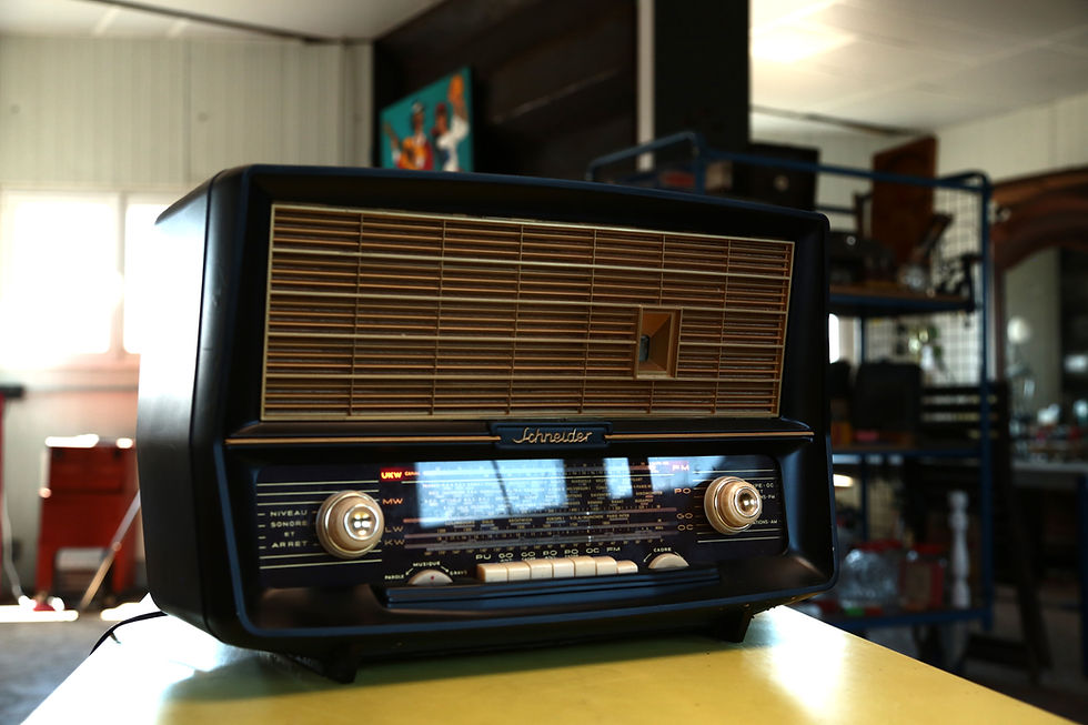 Miniature : Schneider radio Sandango