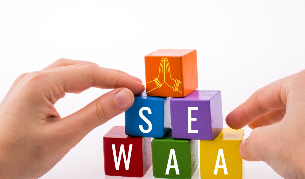 Our Team A SEWAA Foundation our-team-a-sewaa-foundation