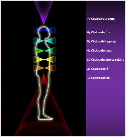 Représentation de la localisation des 7 chakras principaux sur le corps humain.