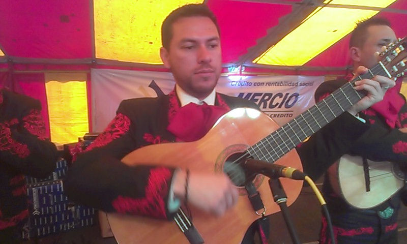Johan Ferreira (Guitarrista)