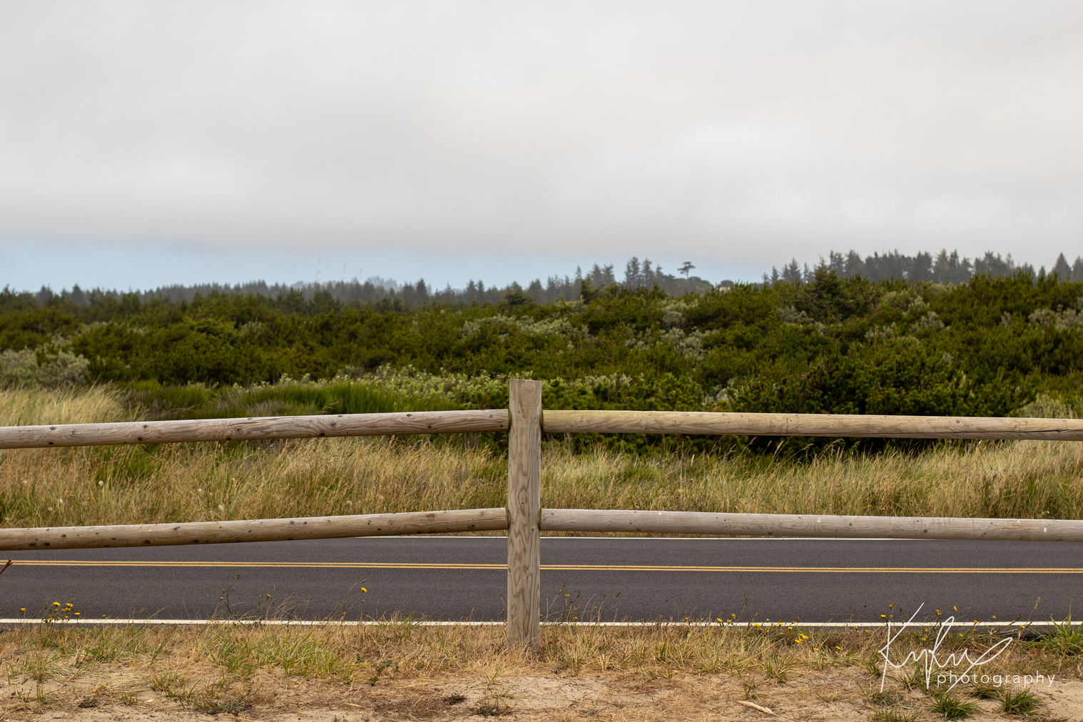 A lonely beach road