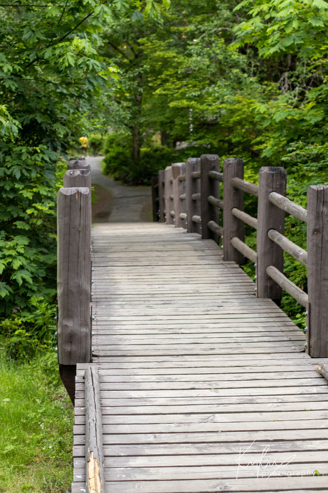 A small footbridge