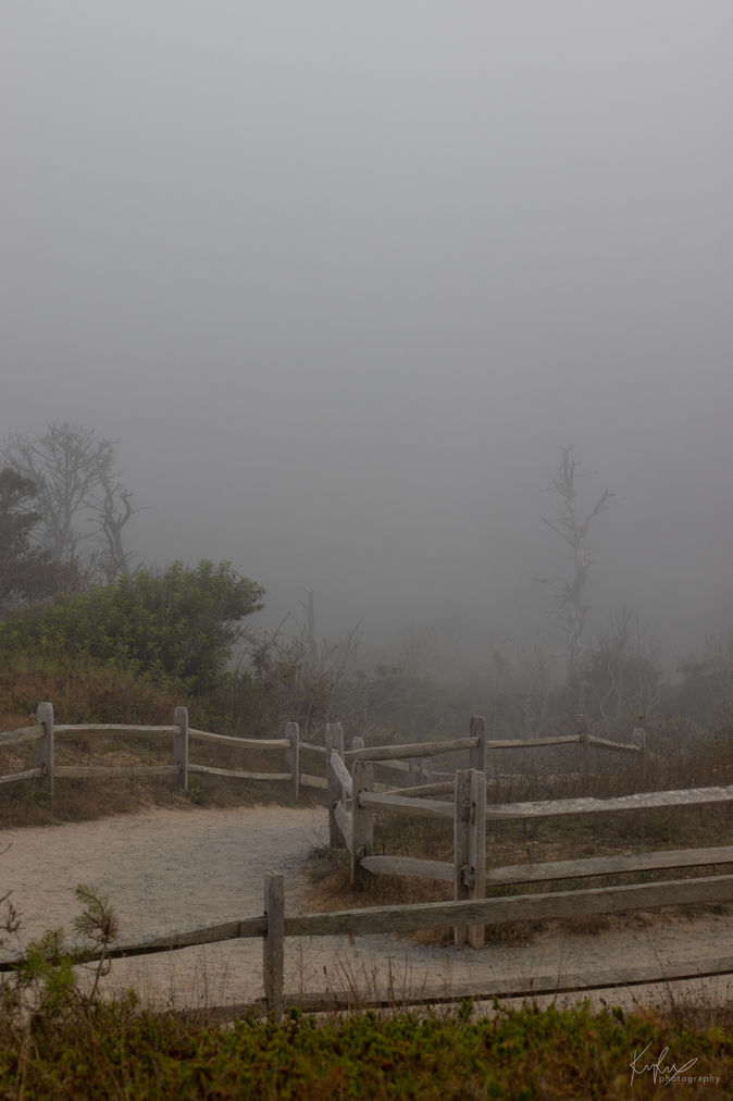 Foggy path to a beach