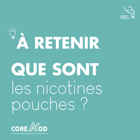 À RETENIR | LES NICOTINES POUCHES