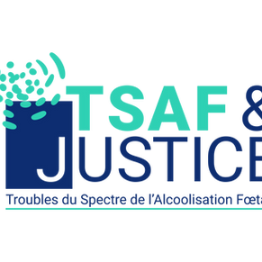 OFFRE D'EMPLOI POURVUE⎜CHARGE·E DE PROJET TSAF & JUSTICE