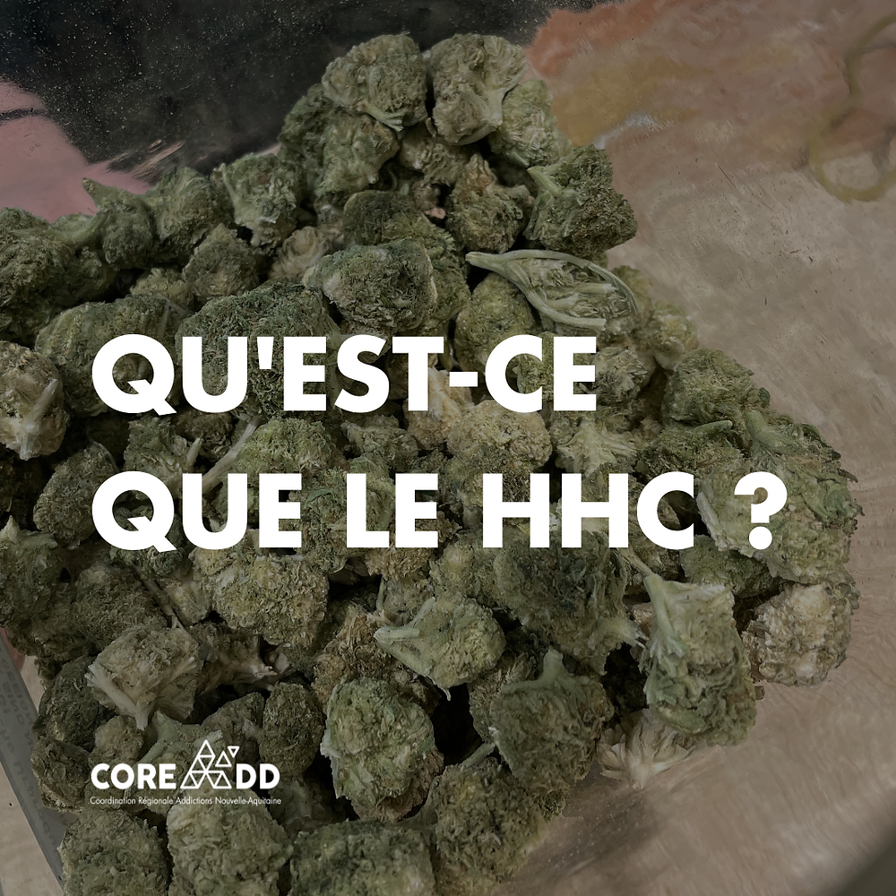 QU'EST-CE QUE LE HHC ? QU'EST-CE QUE LE HHC ?