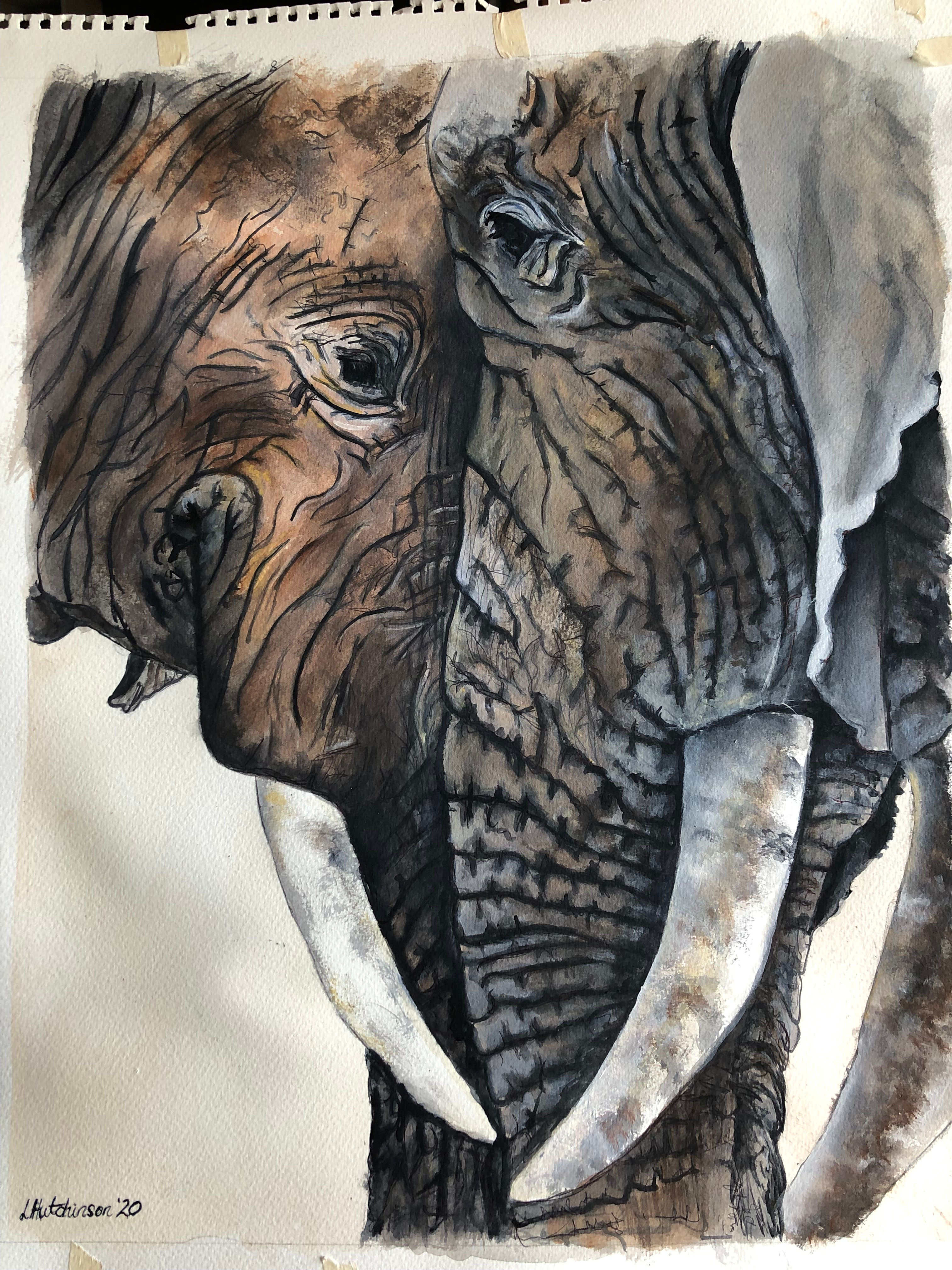 16 X 20" Sepia Giants