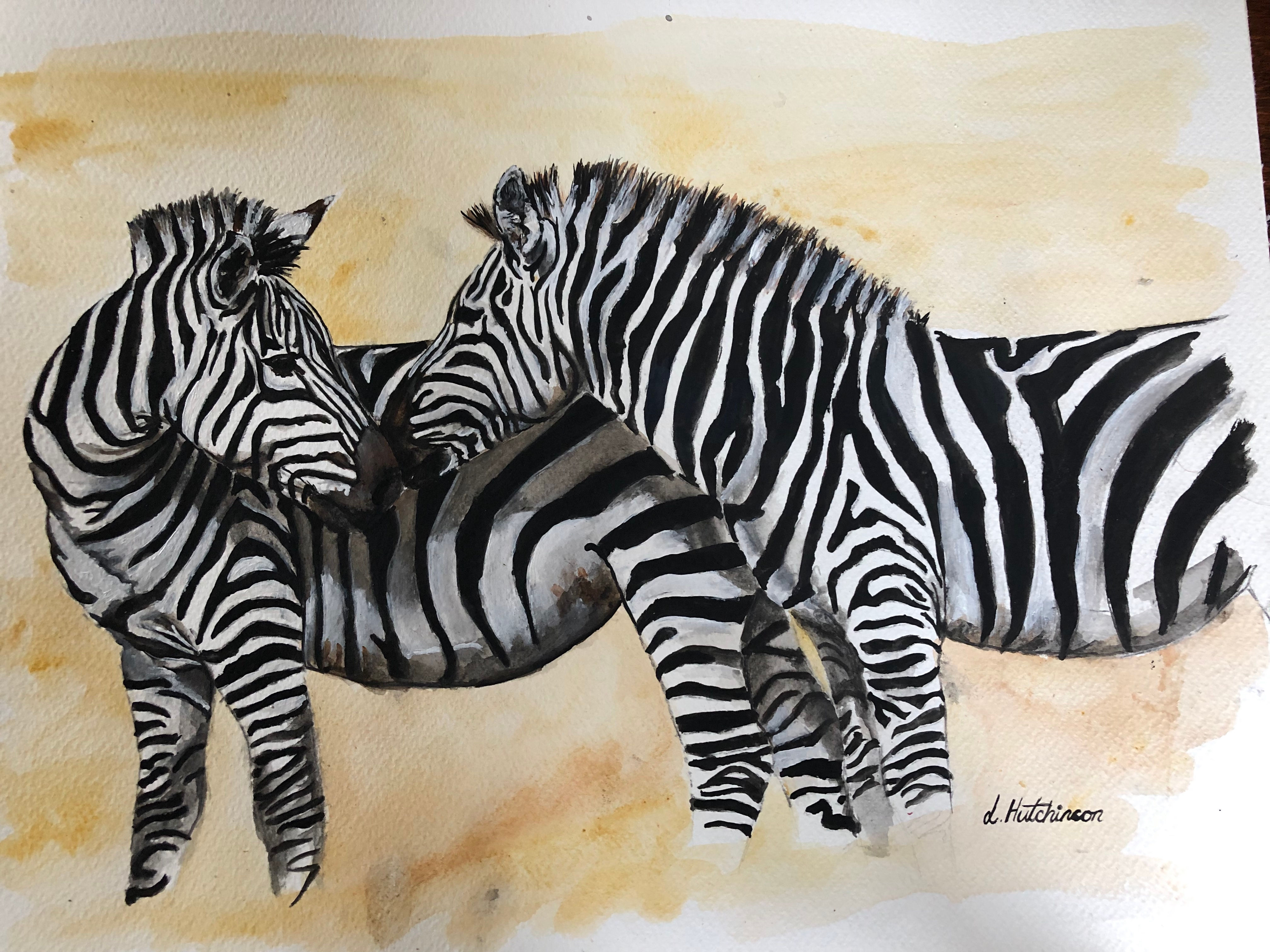 Zebras in Watercolour
