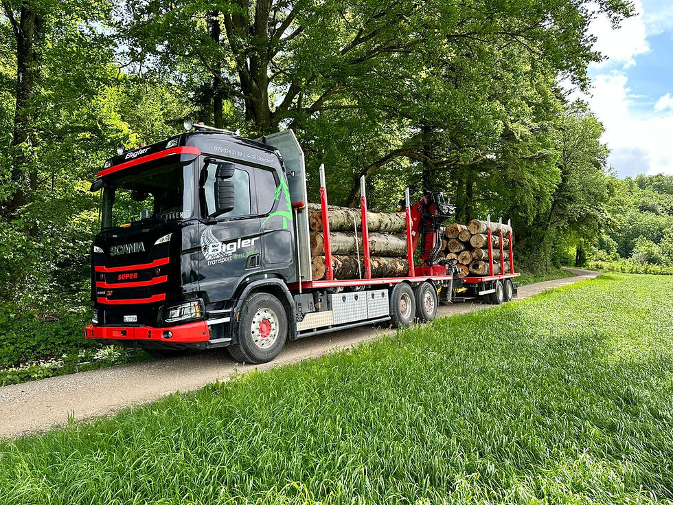 bigler-transport-forst-gmbh (38).jpeg