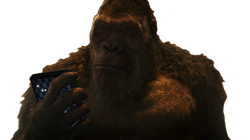 Kong Playing Battleship