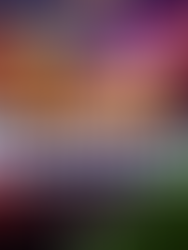 Triple M and Co. Official Randomness ¡Ya Disponible!