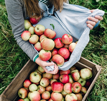 Apples in a Crate