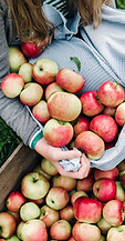 Apples in a Crate