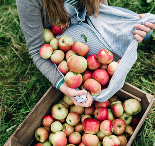 Apples in a Crate