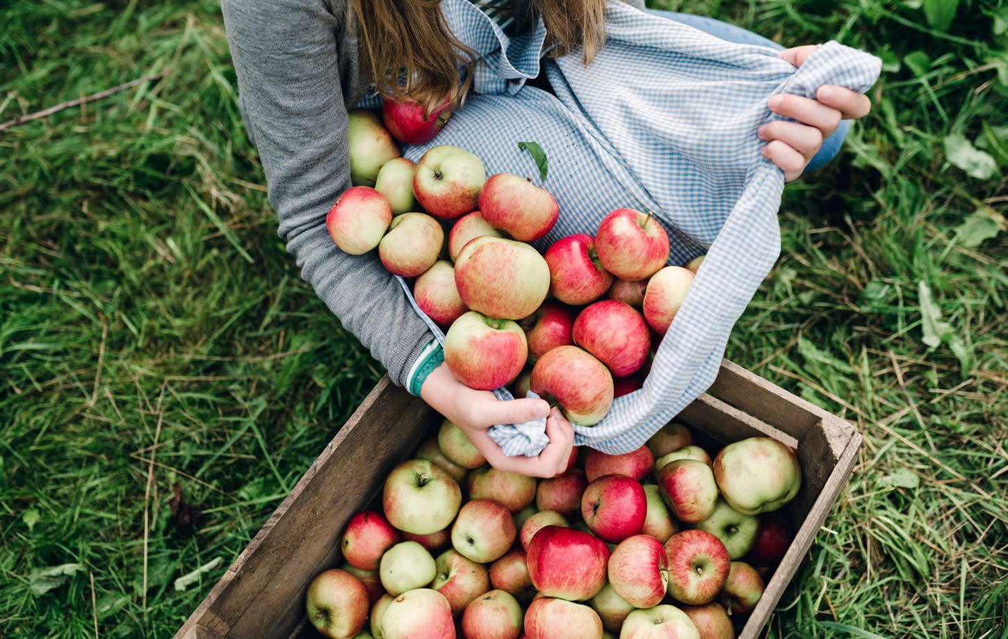Apples in a Crate