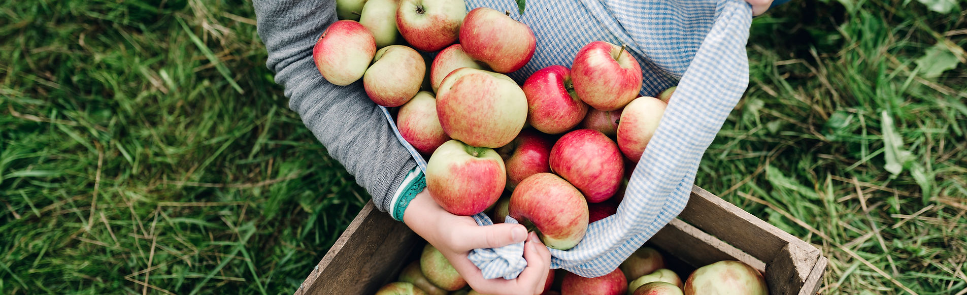 Apples in a Crate