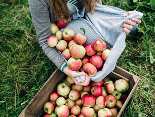 AN APPLE A DAY KEEPS THE DOCTOR AWAY