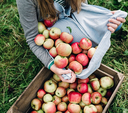 Apples in a Crate