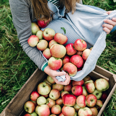 Colorado Cider Producers