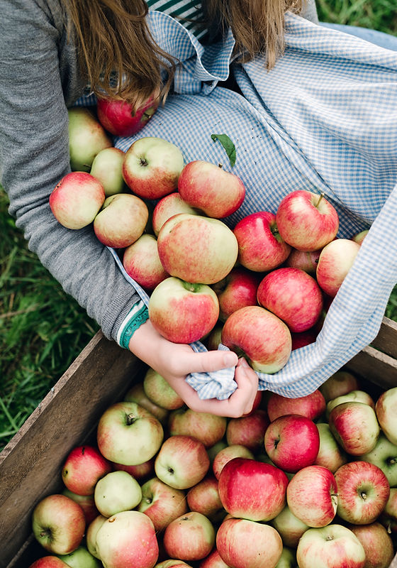 Apples in a Crate