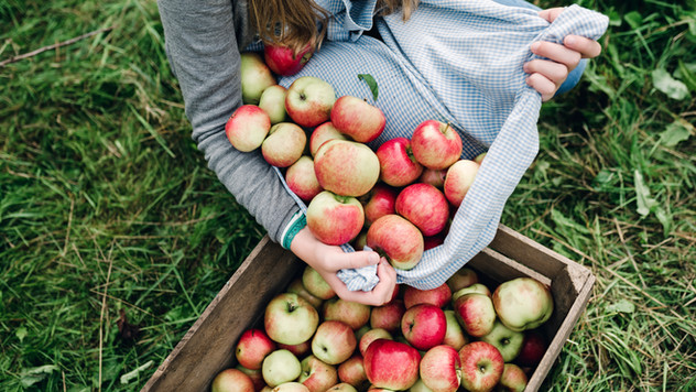 Edna's Apple Crisp