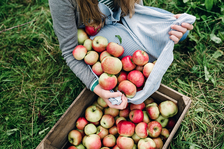 Apples in a Crate
